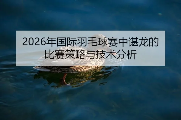nian-guo-ji-yu-mao-qiu-sai-zhong-chen-long-de-bi-sai-ce-lve-yu-ji-shu-fen-xi-2-302.jpg