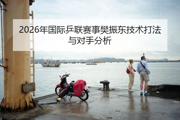 2026年国际乒联赛事樊振东技术打法与对手分析