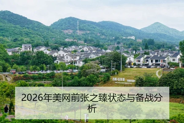 nian-mei-wang-qian-zhang-zhi-zhen-zhuang-tai-yu-bei-zhan-fen-xi-2-941.jpg