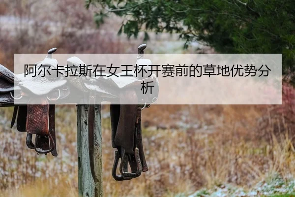 a-er-ka-la-si-zai-nv-wang-bei-kai-sai-qian-de-cao-di-you-shi-fen-xi-2-761.jpg