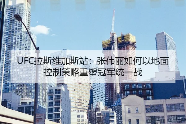 la-si-wei-jia-si-zhan-zhang-wei-li-ru-he-yi-di-mian-kong-zhi-ce-lve-zhong-su-guan-jun-tong-yi-zhan-2-219.jpg
